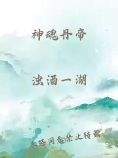 神魂丹帝