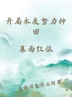 开局永夜努力种田