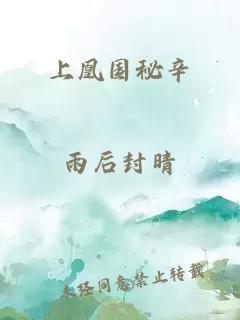 上凰国秘辛