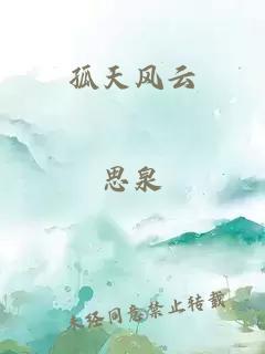 孤天风云