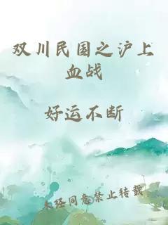 双川民国之沪上血战