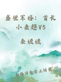 盛世军婚:首长小妻超V5