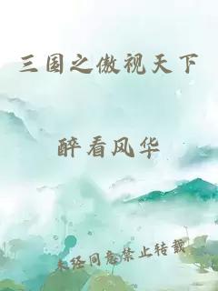 三国之傲视天下