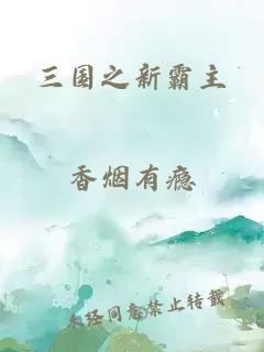 三国之新霸主