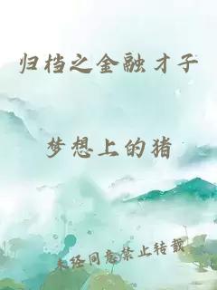 归档之金融才子