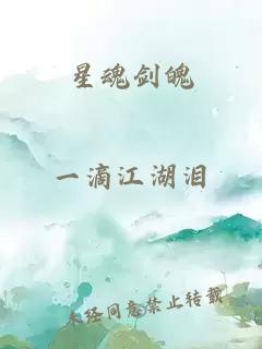 星魂剑魄