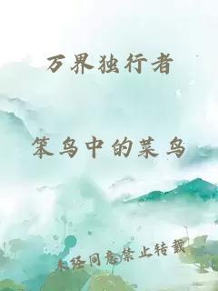 万界独行者